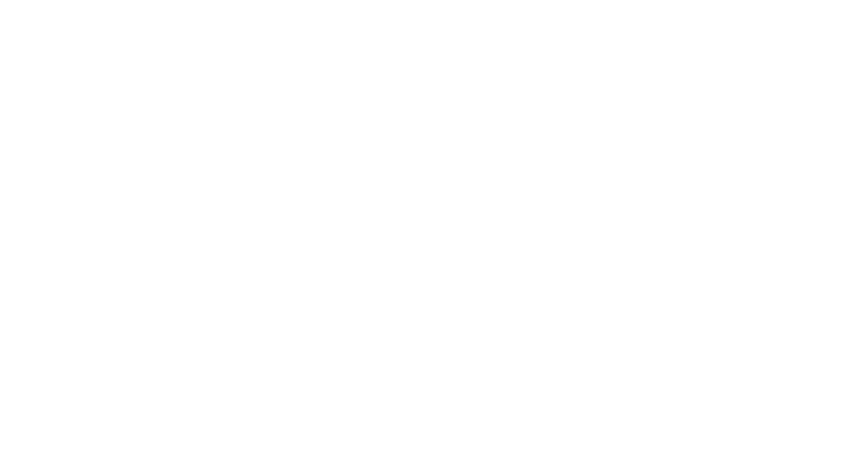 LBO Partners